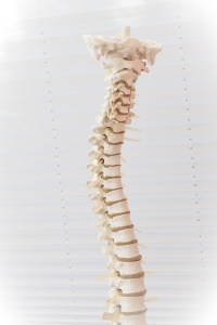 What is a Spinal Subluxation