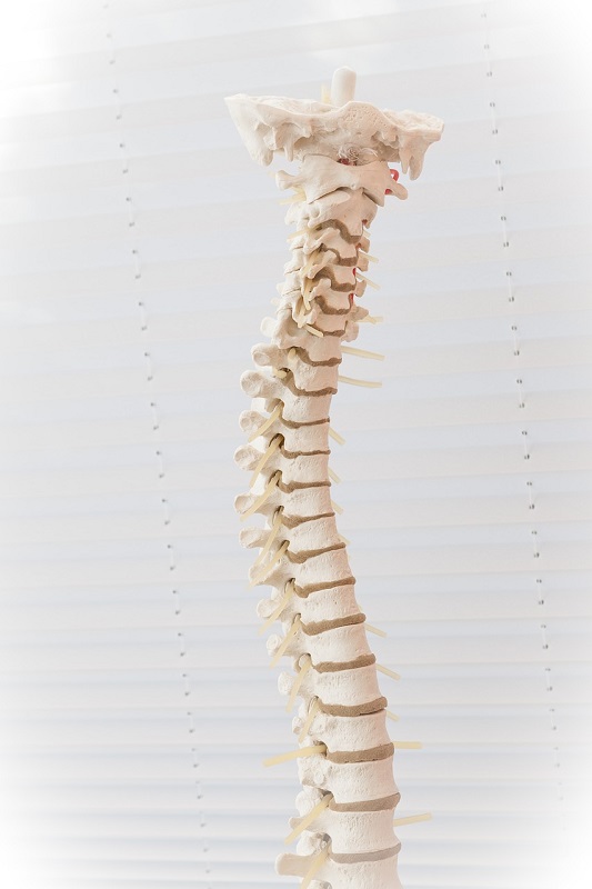 What is a Spinal Subluxation
